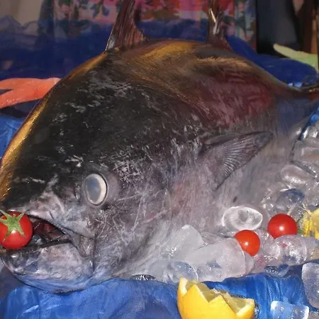 Losanna Hotel Cervia