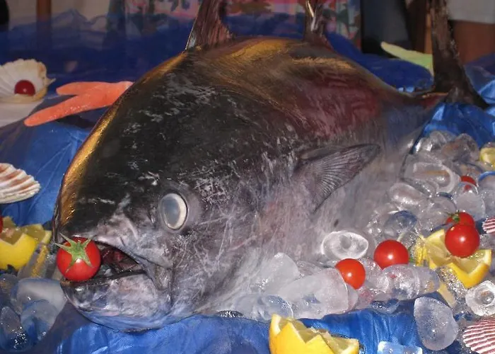 Losanna 酒店 切尔维亚